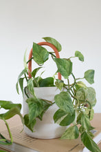 Load image into Gallery viewer, Handmade Clay Plant Stake