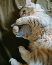 Load image into Gallery viewer, Felt Catnip Cat Toy