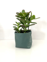 Load image into Gallery viewer, Small Planter Pouch