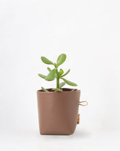Load image into Gallery viewer, Small Planter Pouch
